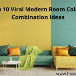 Top 10 Viral Modern Room Colour Combination Ideas
