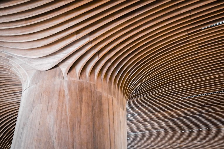 Eco-Friendly Materials Living Room Ceiling Design
