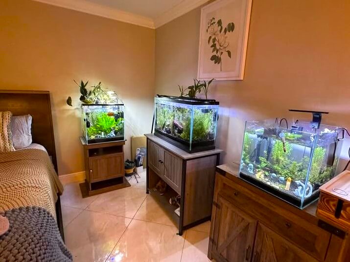 Say No to Water Elements in the Feng Shui Bedroom